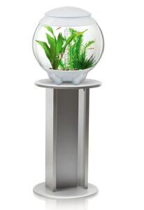 biorb-halo-15-white-with-silver-stand-and-heater-001.jpg