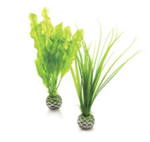 Набор Малые зеленые растения - Easy plant set small green